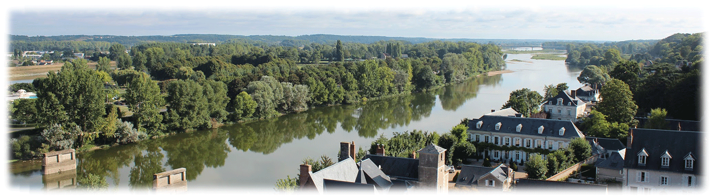 その他のコース